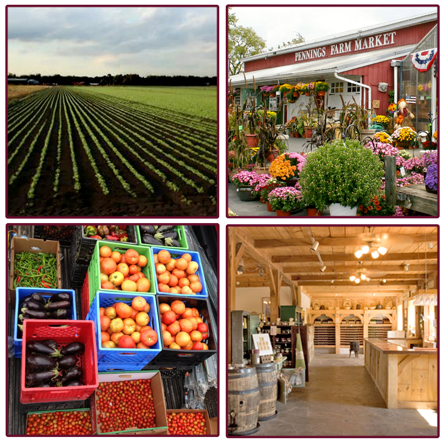 Agroturizmi, çfarë përmban paketa mbështetëse e qeverisë dhe si mund të