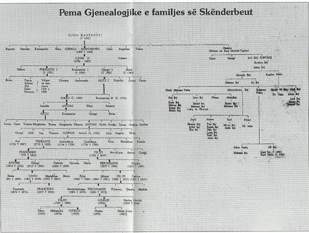 , Publikohet skema e pemës gjenealogjike e familjes së Skënderbeut, ja si u zbulua