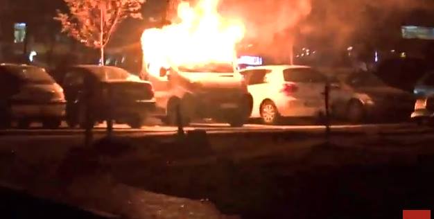 12242138-10153283026227029-310443167-n